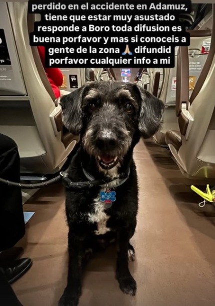el_pais's tweet image. Ana también ha querido hacer un llamamiento para que se trabaje por localizar a las mascotas: “Aprovecho para buscar a mi perro, por favor, si podéis ayudar a buscar los animales... también son familia” shorturl.at/S61v5