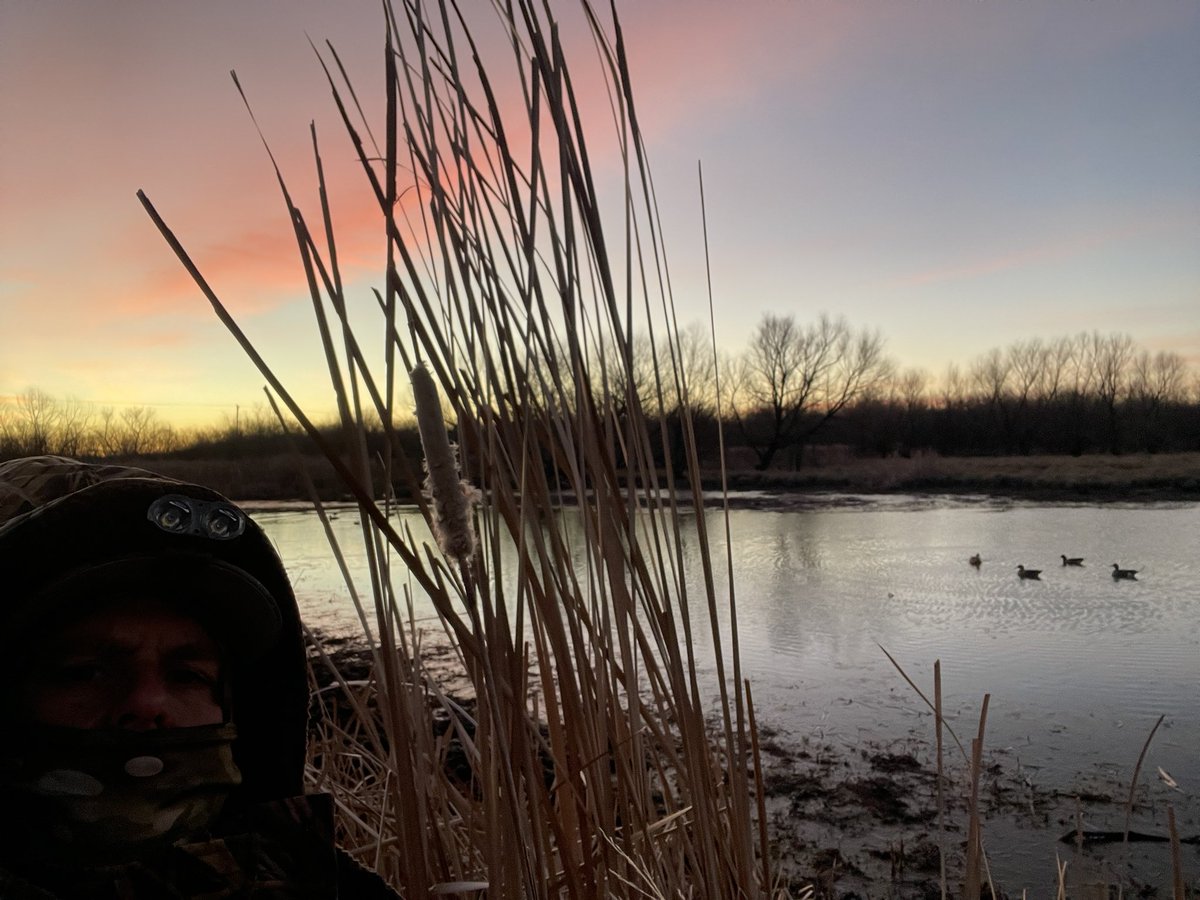 Stephen Holt ✝️ tweet media