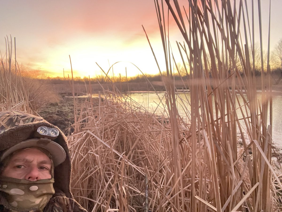 Stephen Holt ✝️ tweet media