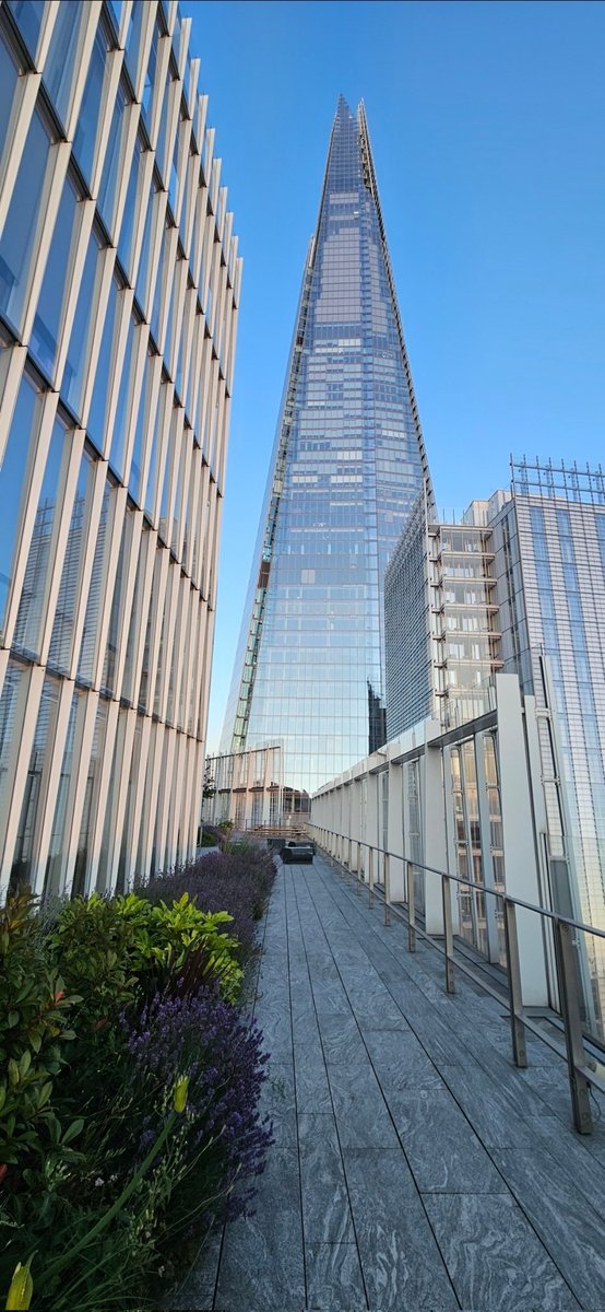 Torin Budd tweet media