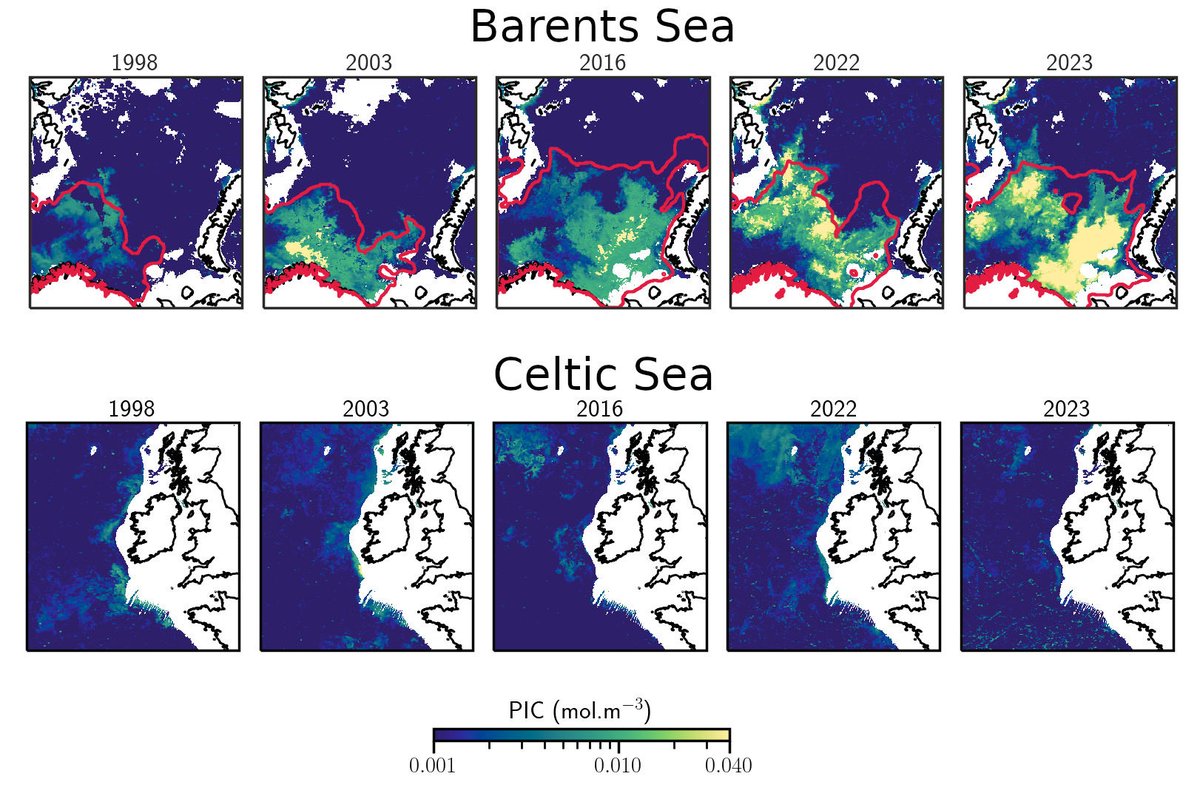 Thibault Guinaldo tweet media