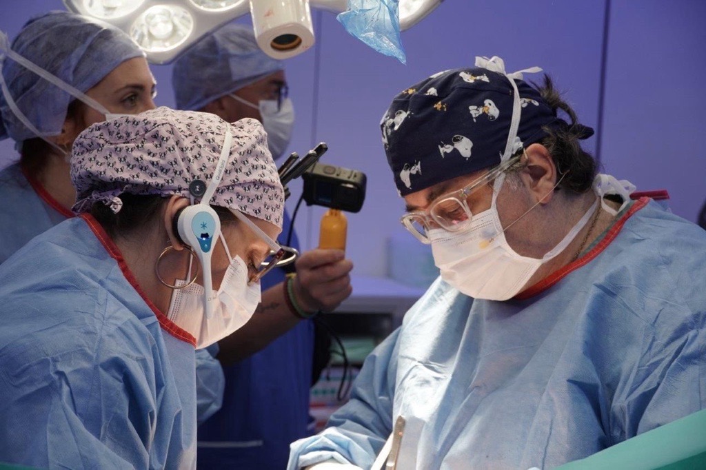 Consorci Sanitari Integral tweet media