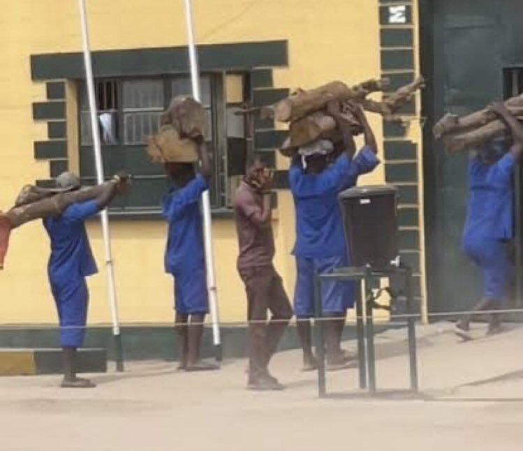 " The girl ein inside go sweet basaaa"

1 month later: