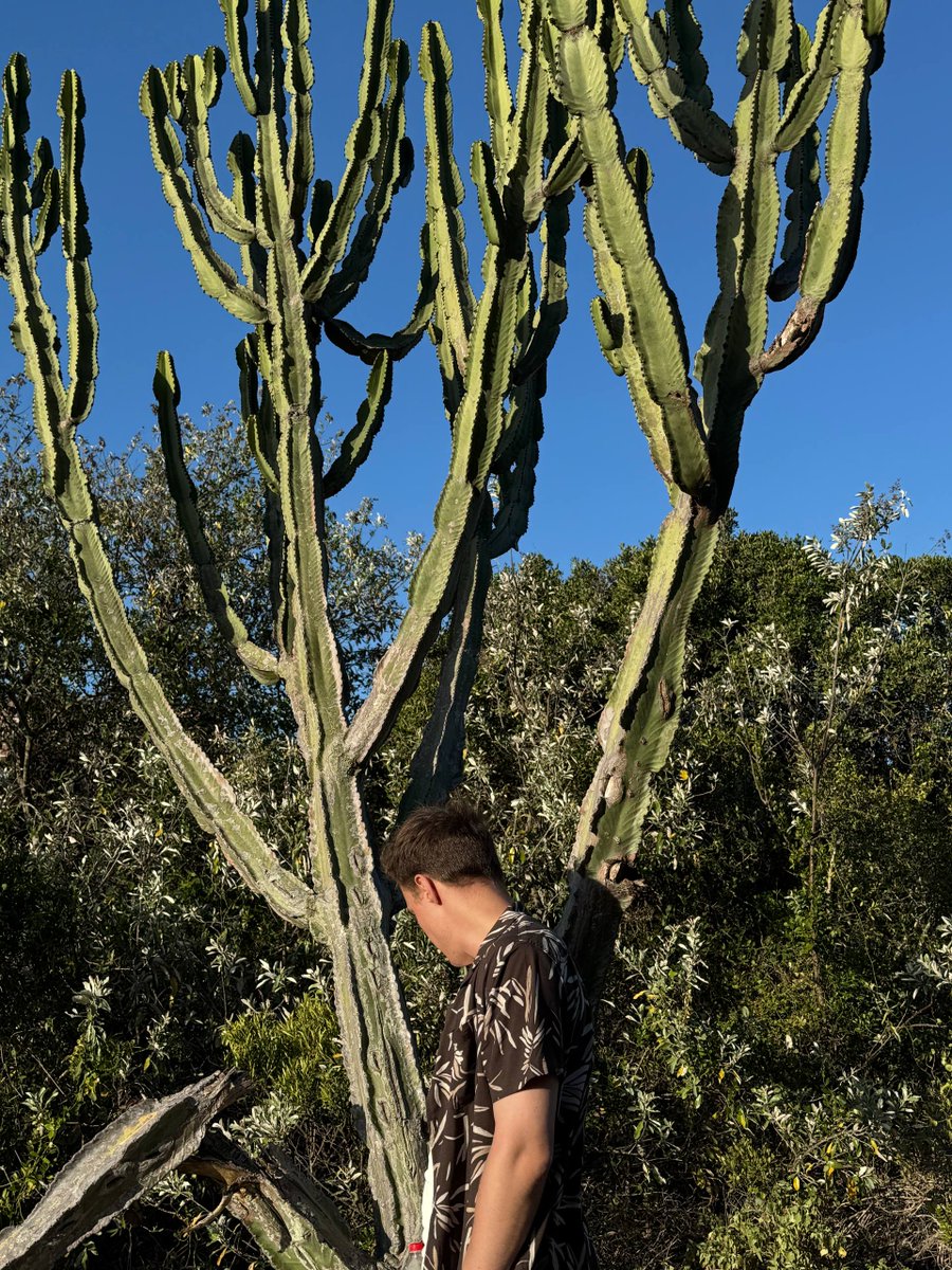 vaness | collab manager tweet media