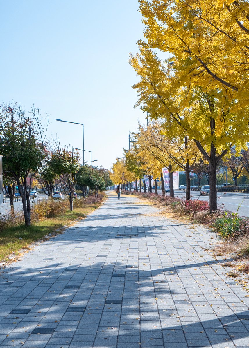 아침, 대전 에서.