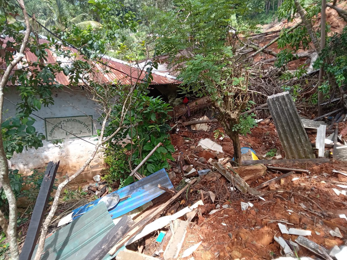 Ruki Fernando tweet media