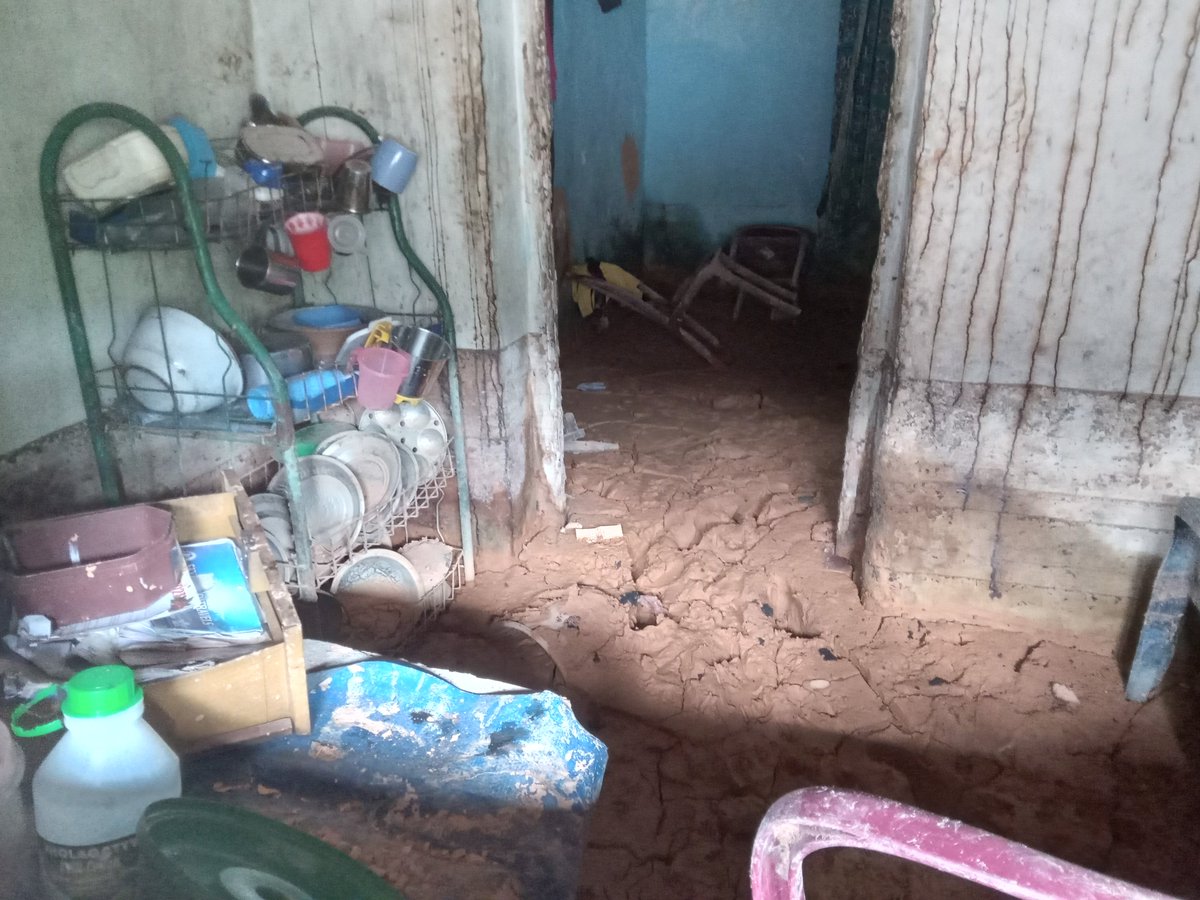 Ruki Fernando tweet media