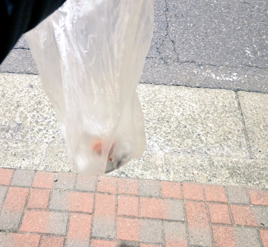 mint64039388's tweet image. 🌈お疲れ様です 1/19 ☀️ 😊
夜🌃のウォーキング #ごみ拾い 879 お菓子の外袋２個拾いましたー🚮週末に娘が帰省してて はしゃぎ過ぎたかな 今日はのんびり日和でした🍵👵#ポイ捨て #cleanup #名古屋🐨#中村区 #Japan