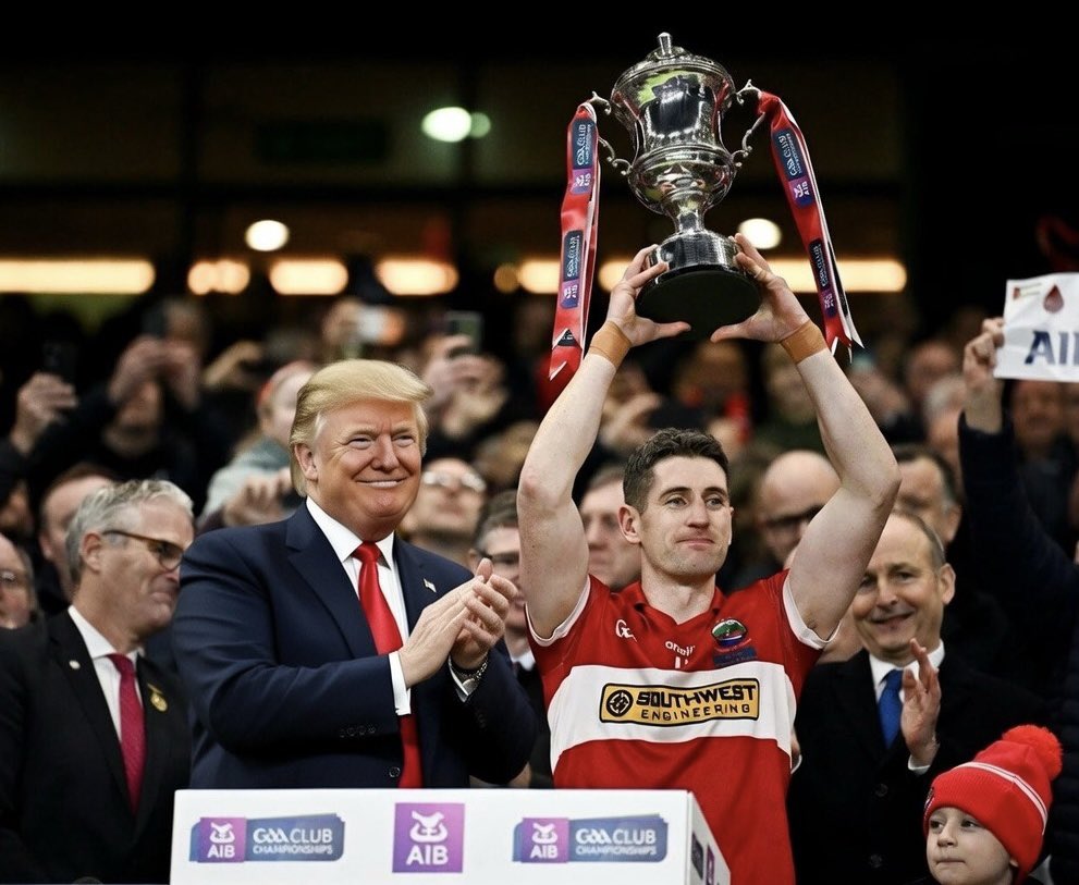 Joe Canavan tweet media
