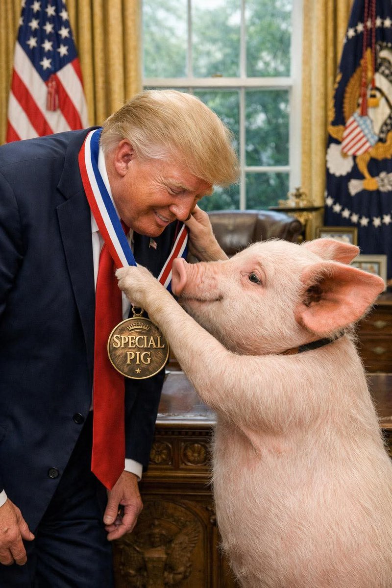 Fredwreck tweet media