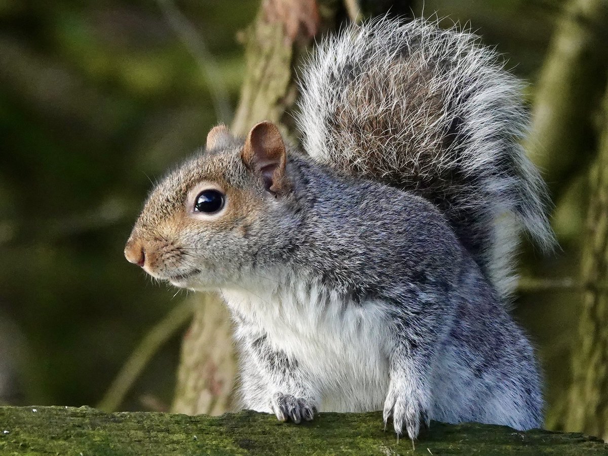 Sharon Wood (nee Loose) tweet media