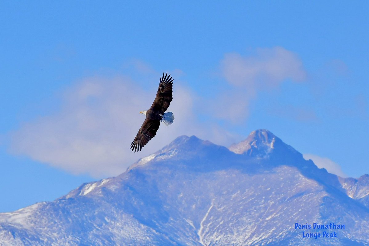 ddunathan's tweet image. Yesterday was a good day!!!