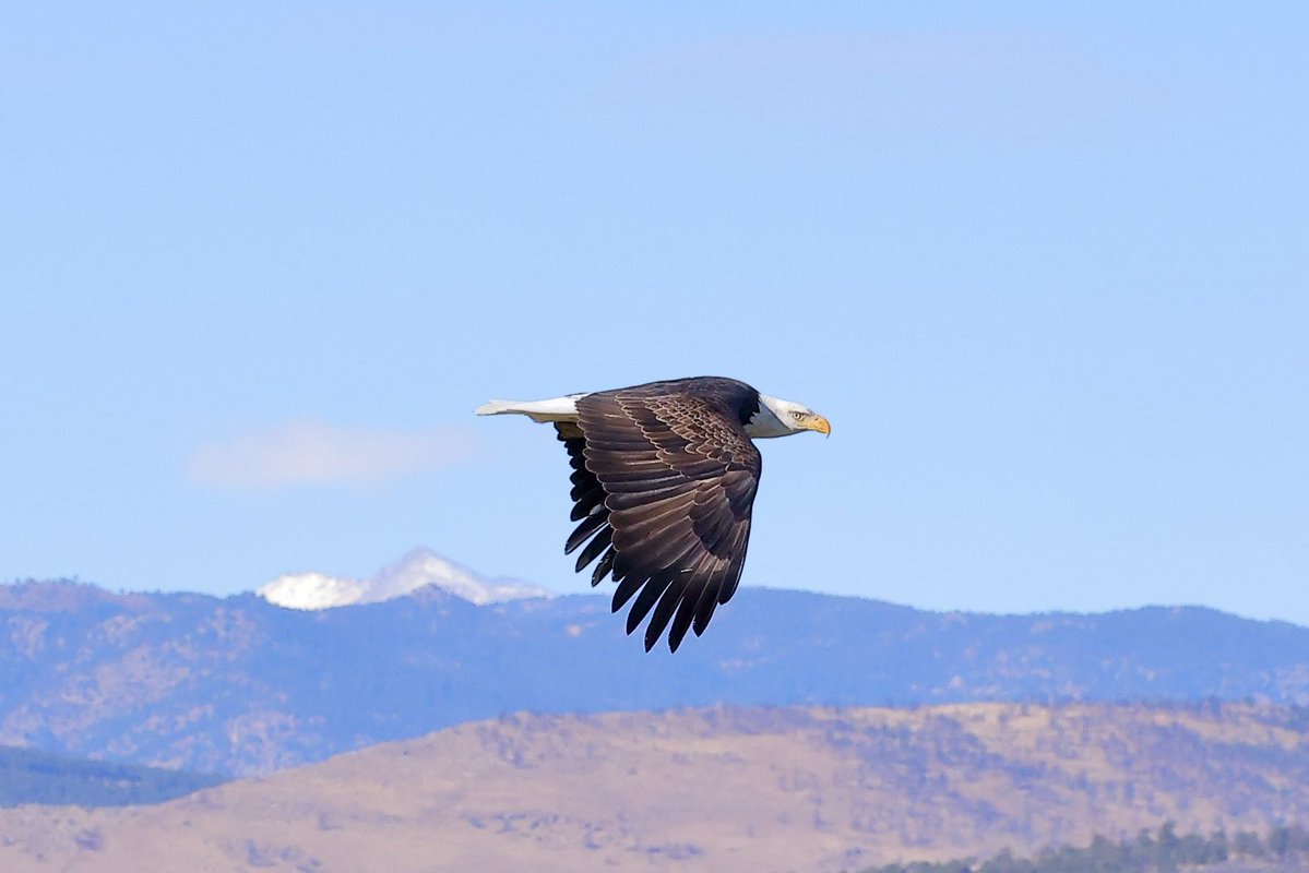 ddunathan's tweet image. Yesterday was a good day!!!