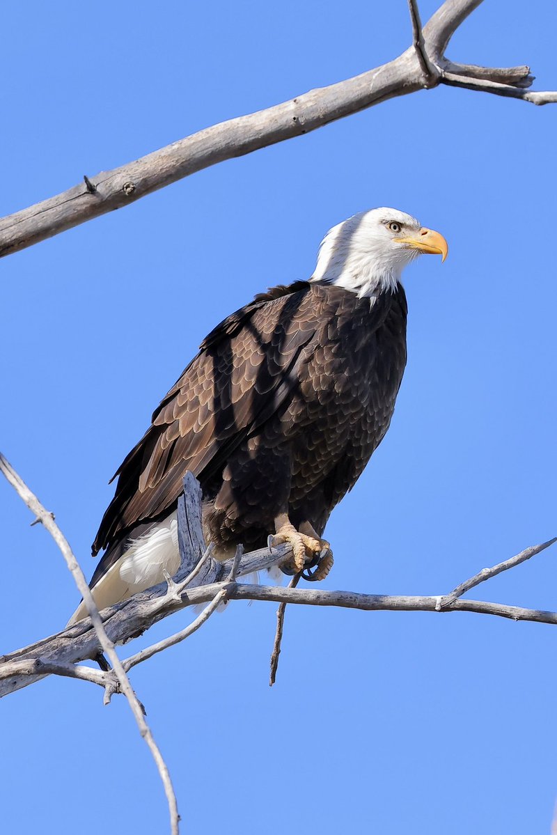 ddunathan's tweet image. Yesterday was a good day!!!