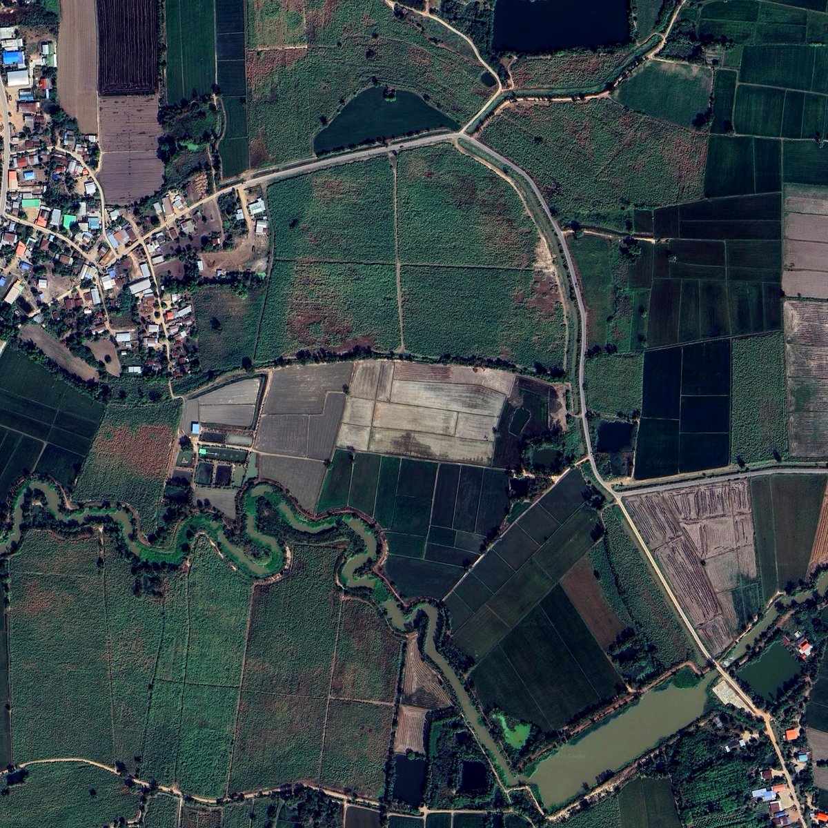 1000rai_'s tweet photo. หนองไม้กอง อำเภอ ไทรงาม กำแพงเพชร
16°25'60.0"N 99°57'8.3"E https://t.co/epjldyCLNa