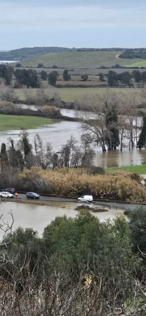 VigipreventionM's tweet photo. De fortes #précipitations ont touché la #Corse ces dernières heures. Les cours d’eau du #Tavignano et de l’Abbatescu sont en #crue, suscitant une vigilance accrue dans le secteur de la #HauteCorse, alors que les précipitations sont loin d’être terminées.

{🎥: @ MichelLérisColombani}

{🎥: @ TommyBzh}

{📸: @ Frederic Pasquiou}