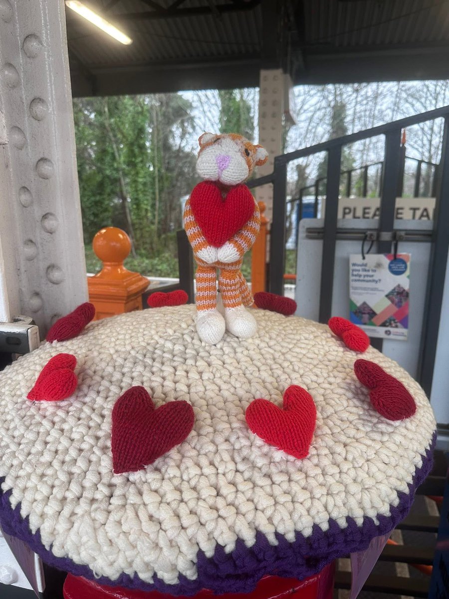 George The Stourbridge Junction Station Cat tweet media