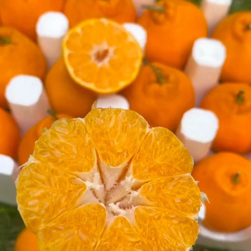 RunSakura7's tweet image. みかんを一箱買いました。信じられないほどジューシーで甘いです