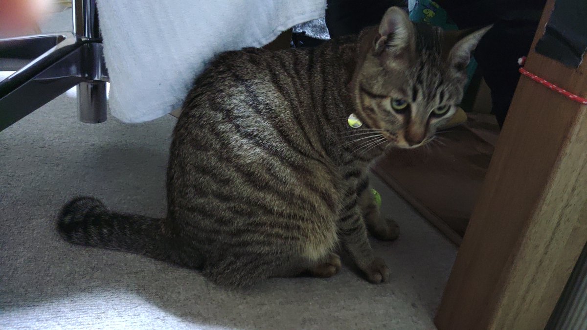 すっかりおにいさんになって🩷