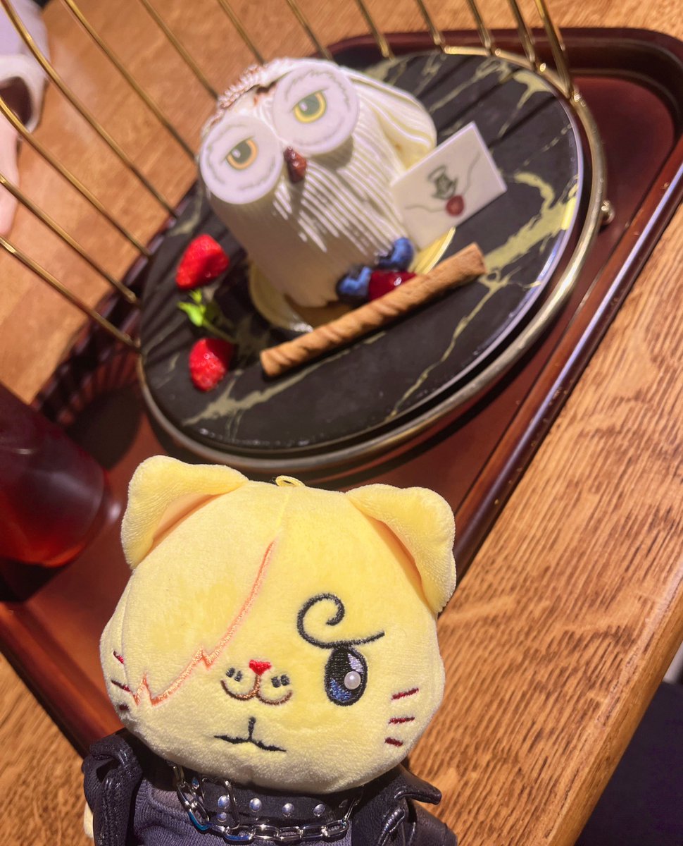 ちゃんとしたご飯を食べた