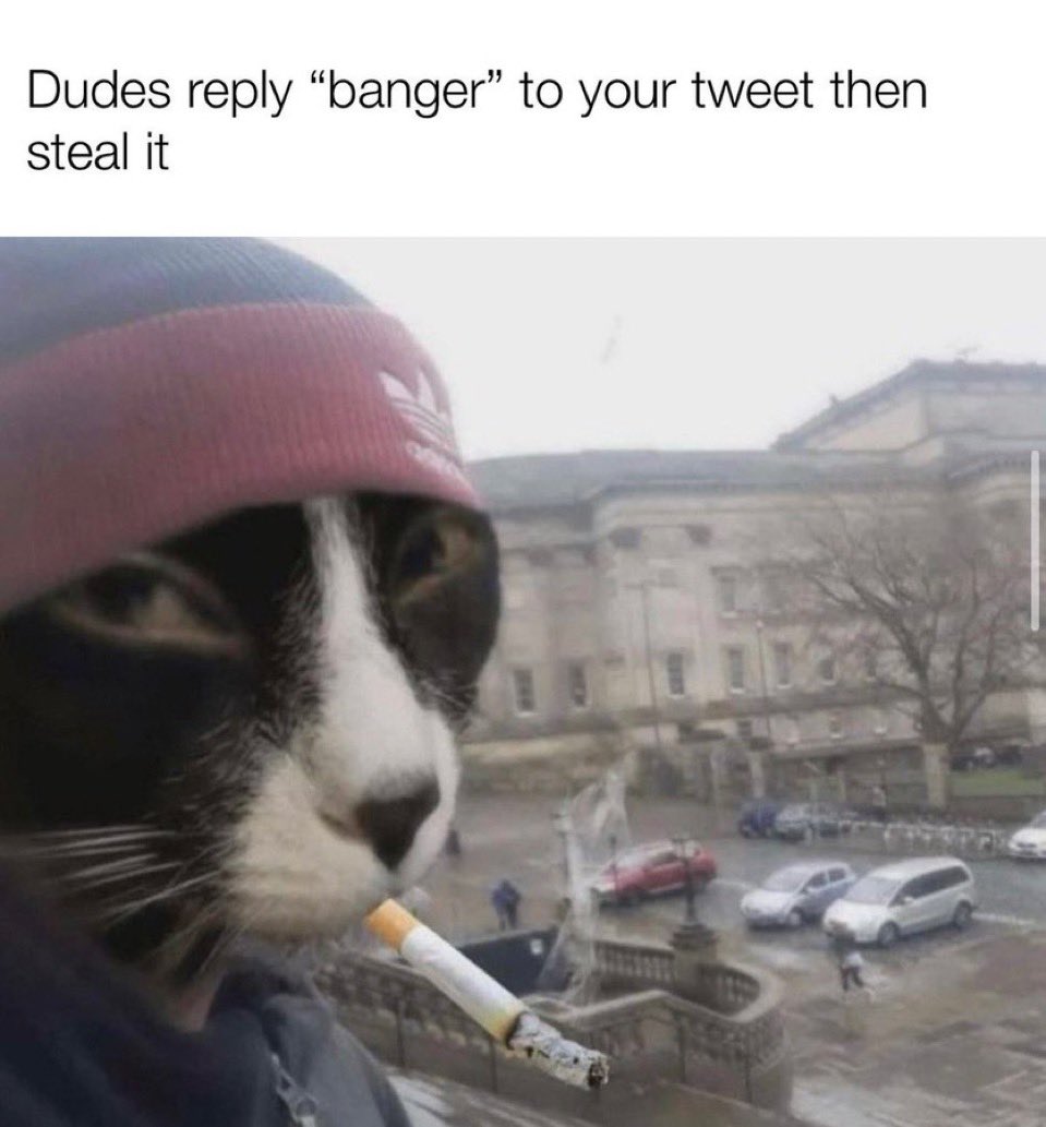 Kokonut (Ø,G) tweet media