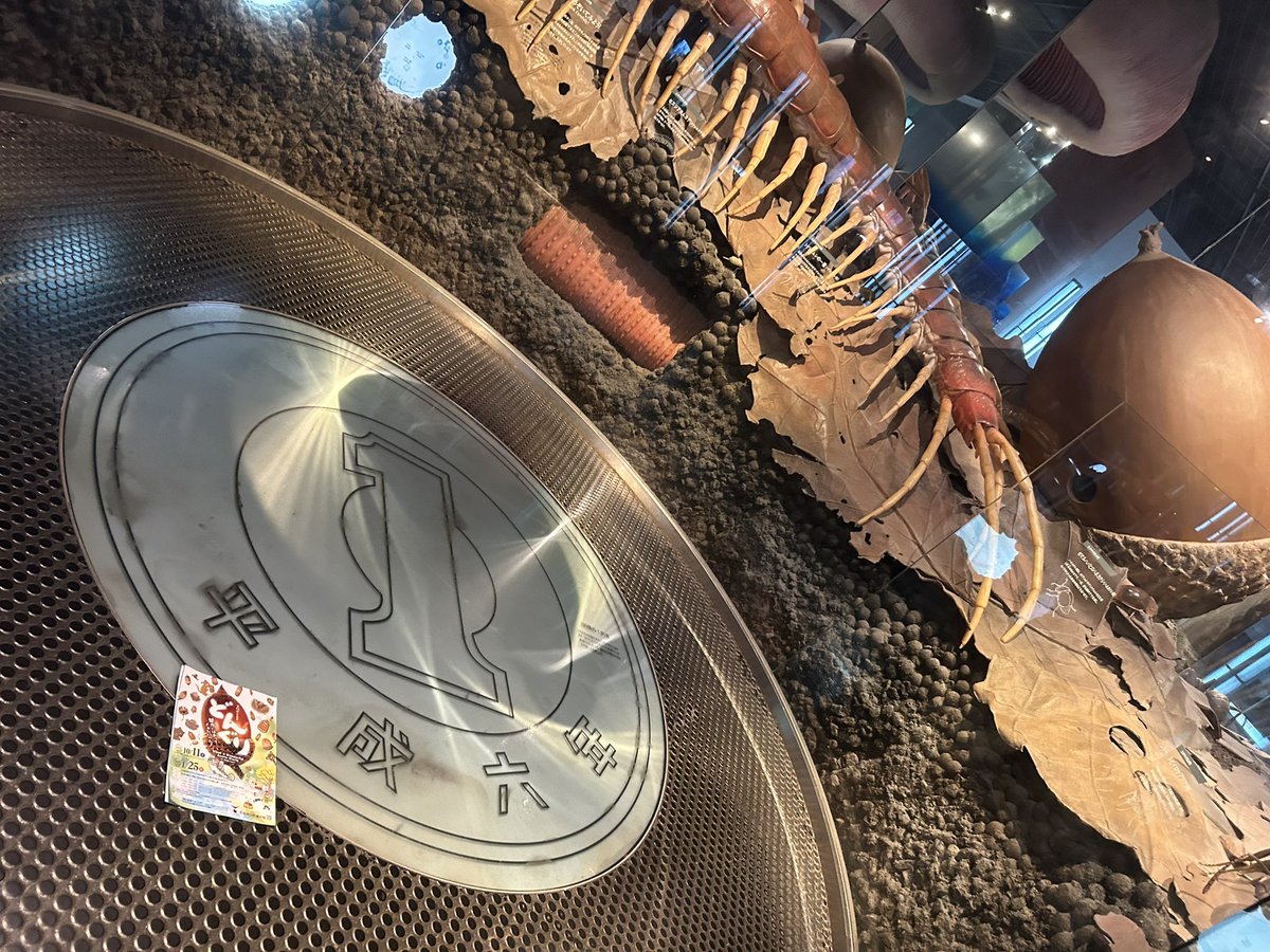 世界一大きいドングリを見てきた🌰
2メートルくらい。

A4サイズのパンフレットとの比較もどうぞ。

#茨城県自然博物館
#どんぐり