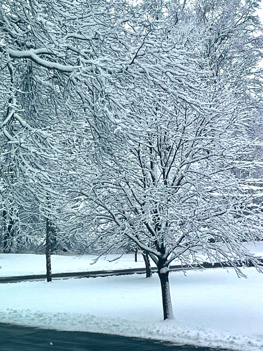 NicDavisNotes's tweet image. Good Morning my pals, we have snow ❄️ ☺️ about 4-5”