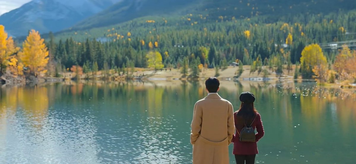 l1scl's tweet image. 