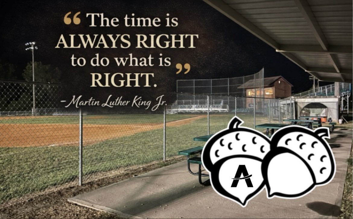 Nuts Baseball tweet media