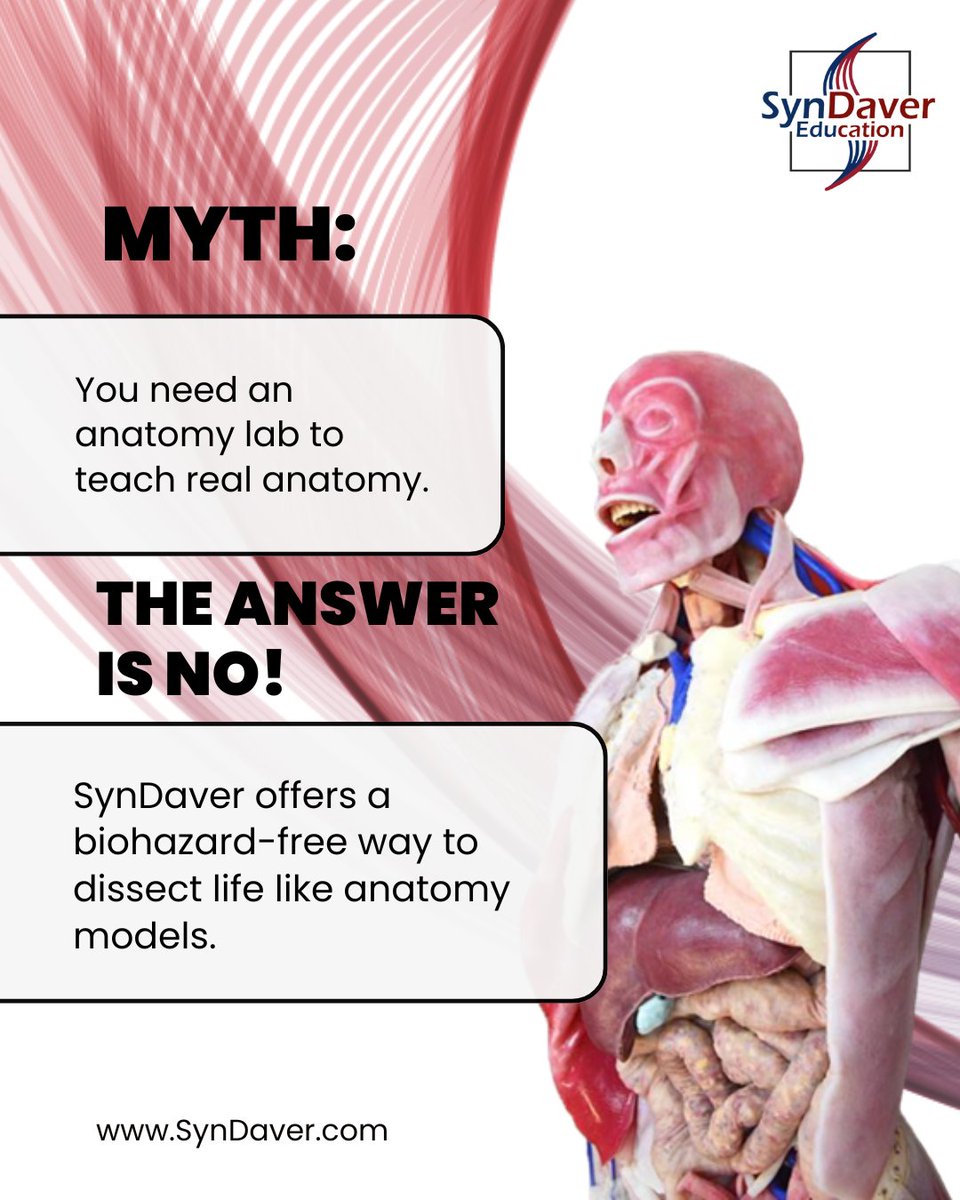 SynDaver Labs tweet media