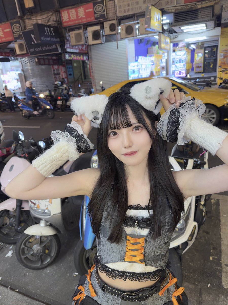 Post by 狸々みょん on X: 台湾猫ﾐｮﾝ