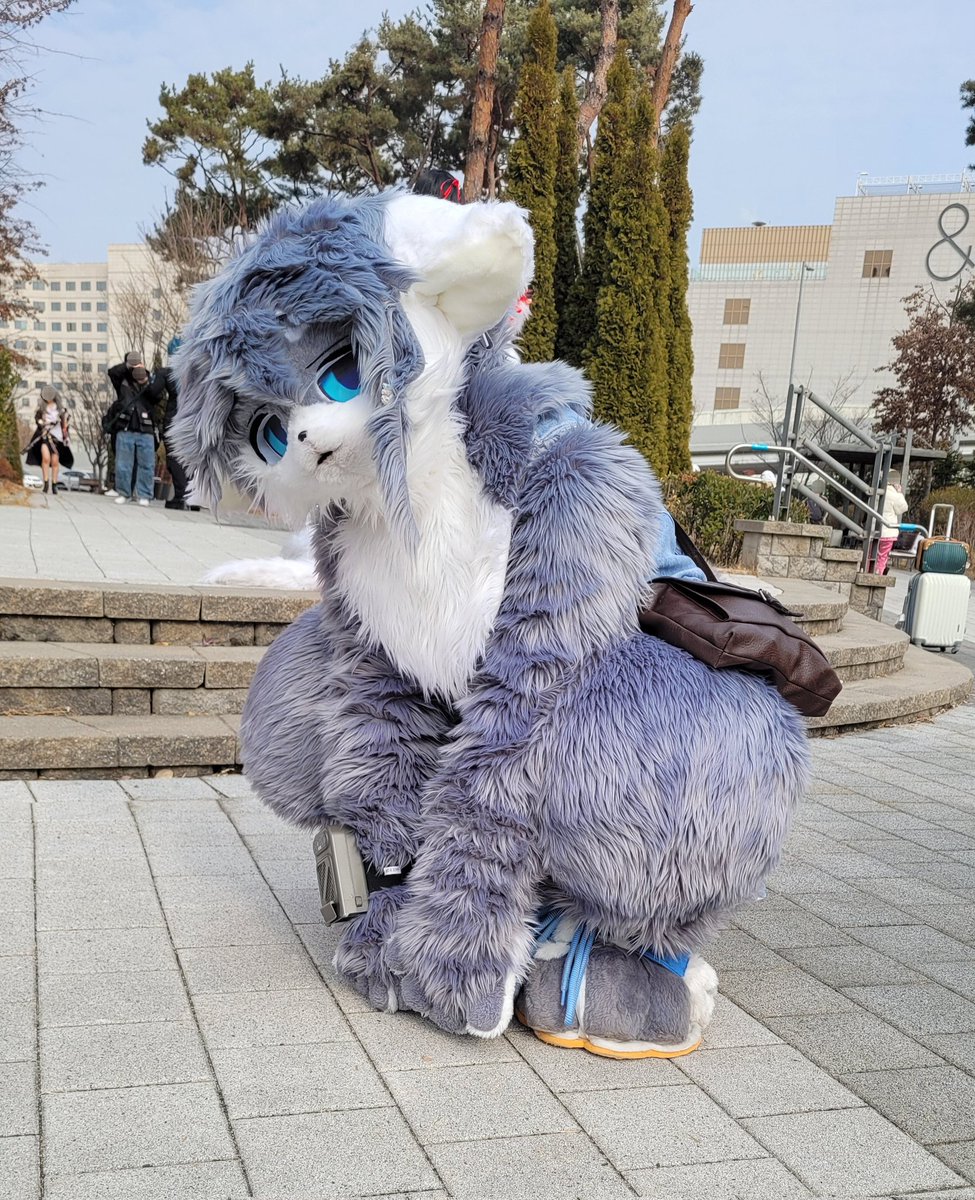 _5igma's tweet image. (힐끗....)

💙 @kufursuit