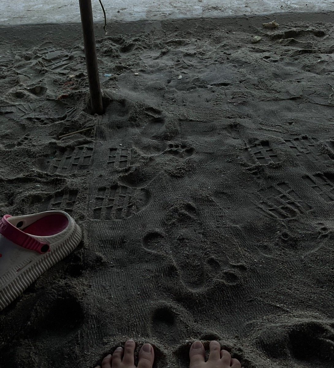 Super pig (@venuseieis) on Twitter photo 