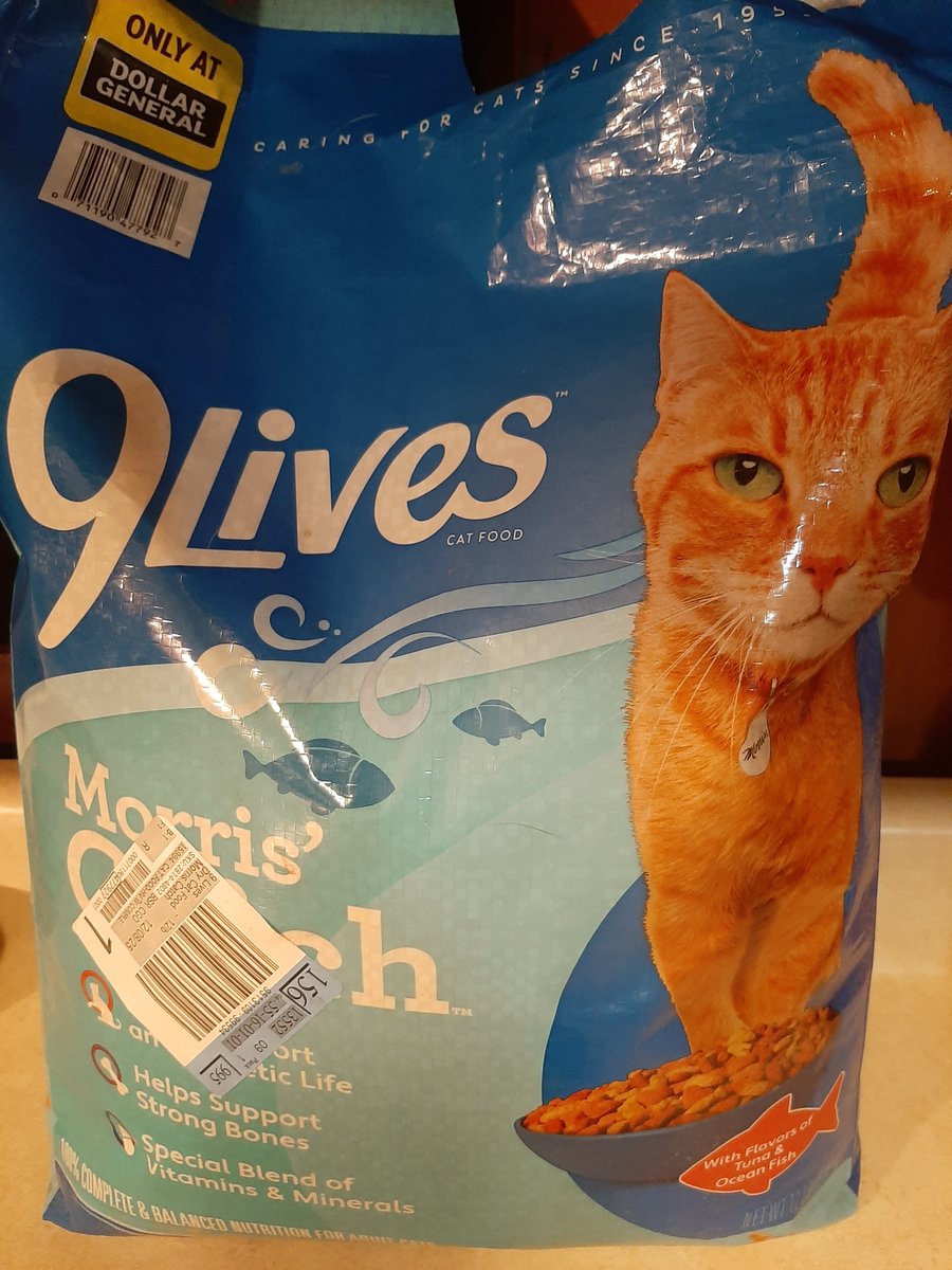yingyang513's tweet image. 9Lives Morris Catch only at Dollar General my cats love they keep trying to get in the bag 🐈