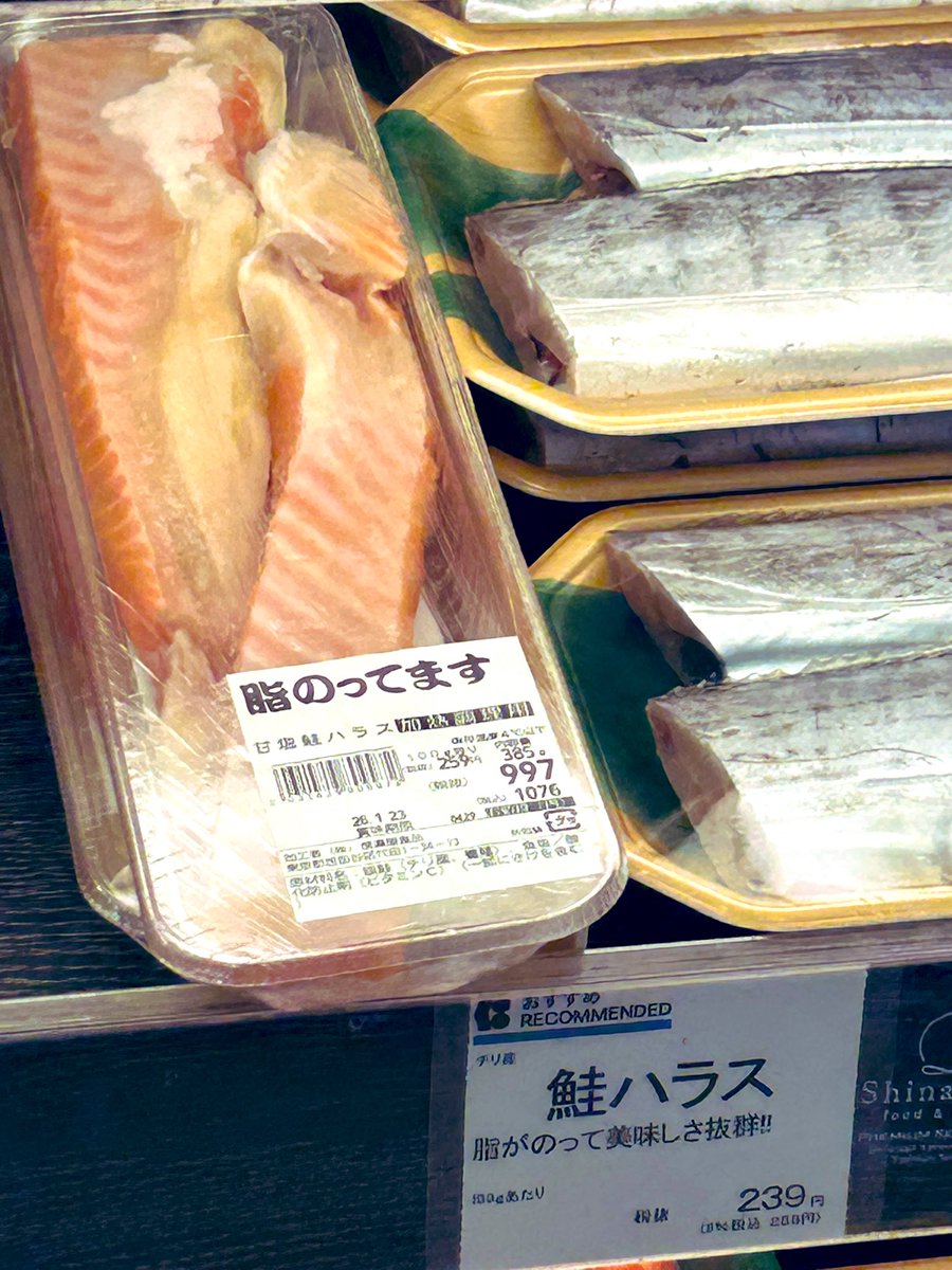 ✞四角い林檎✞ (@shikakui_ringo) / Posts / X