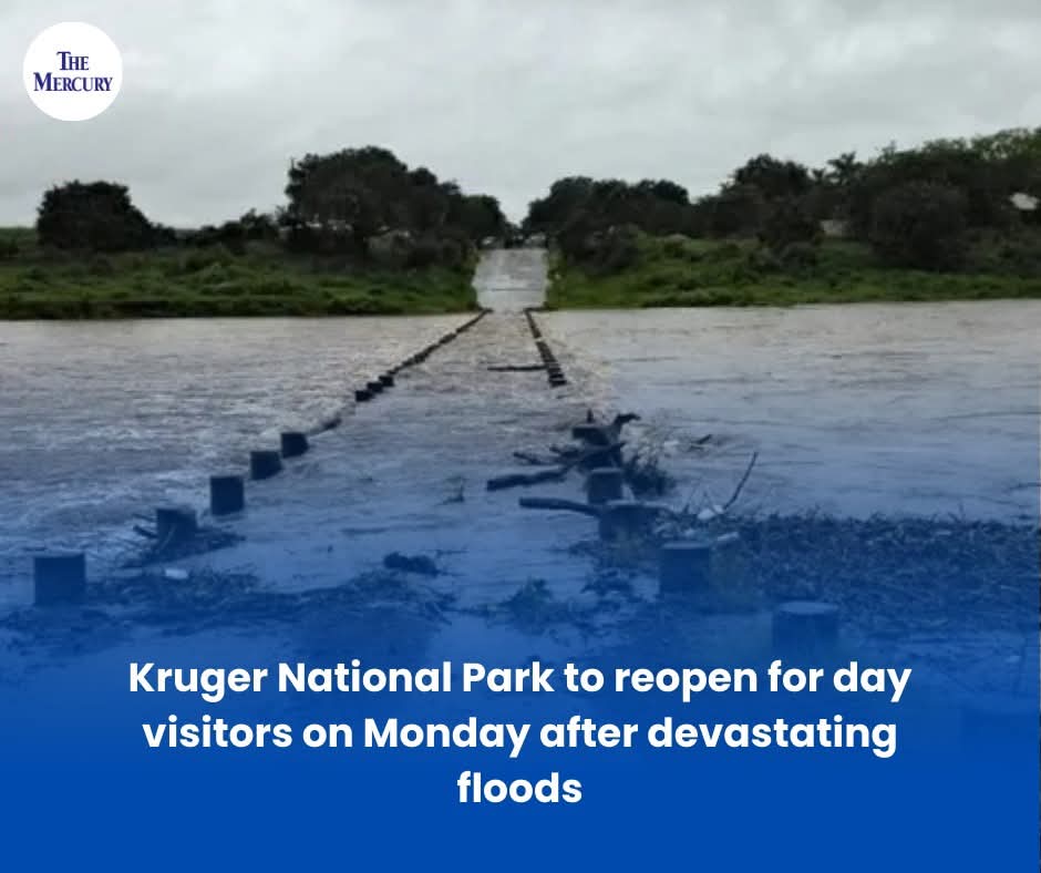 TheMercurySA's tweet image. After enduring devastating floods, Kruger National Park will reopen its gates to day visitors on Monday, inviting nature lovers back to experience its breathtaking wildlife and landscapes.

Read more here: themercury.co.za/news/south-afr…

#KrugerNationalPark #Reopening #FloodRecovery