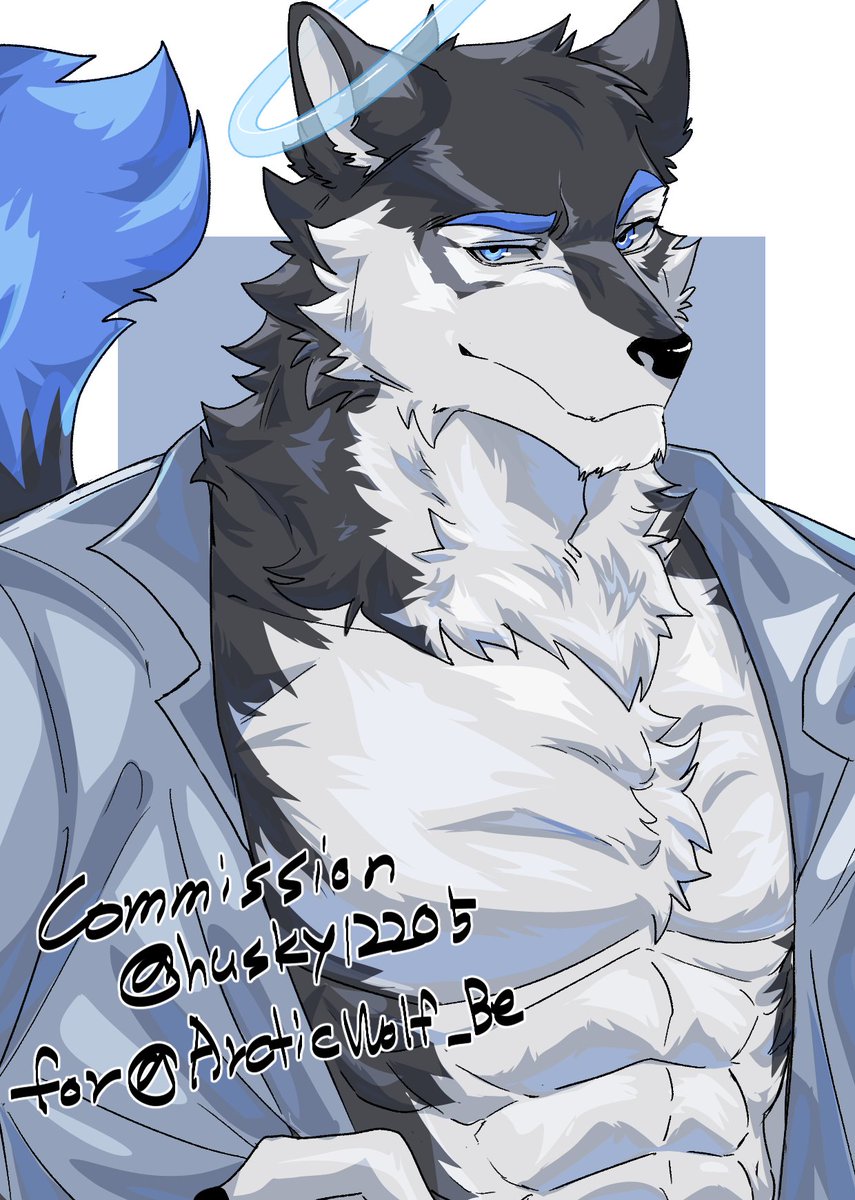 husky12205_Dm's tweet image. 