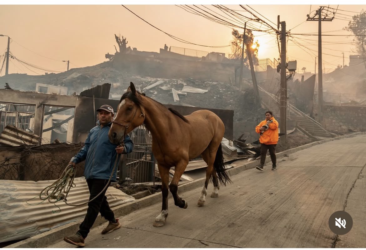 camilaemiliasv's tweet image. Gracias por no abandonarlos en medio de esta terrible tragedia y después de haberlo perdido todo  #Lirquen 
Fotos: Javier Torres Lantadilla