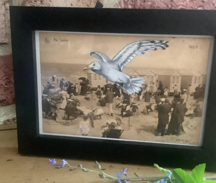 A seagull painted onto a vintage postcard! Original artwork available in my Etsy shop, TwibellArts.
#LincsConnect #originalart #originalartwork #watercolour #watercolourpainting #etsy #etsyshop #etsyseller #birdart #birdartist #seagull #seaside