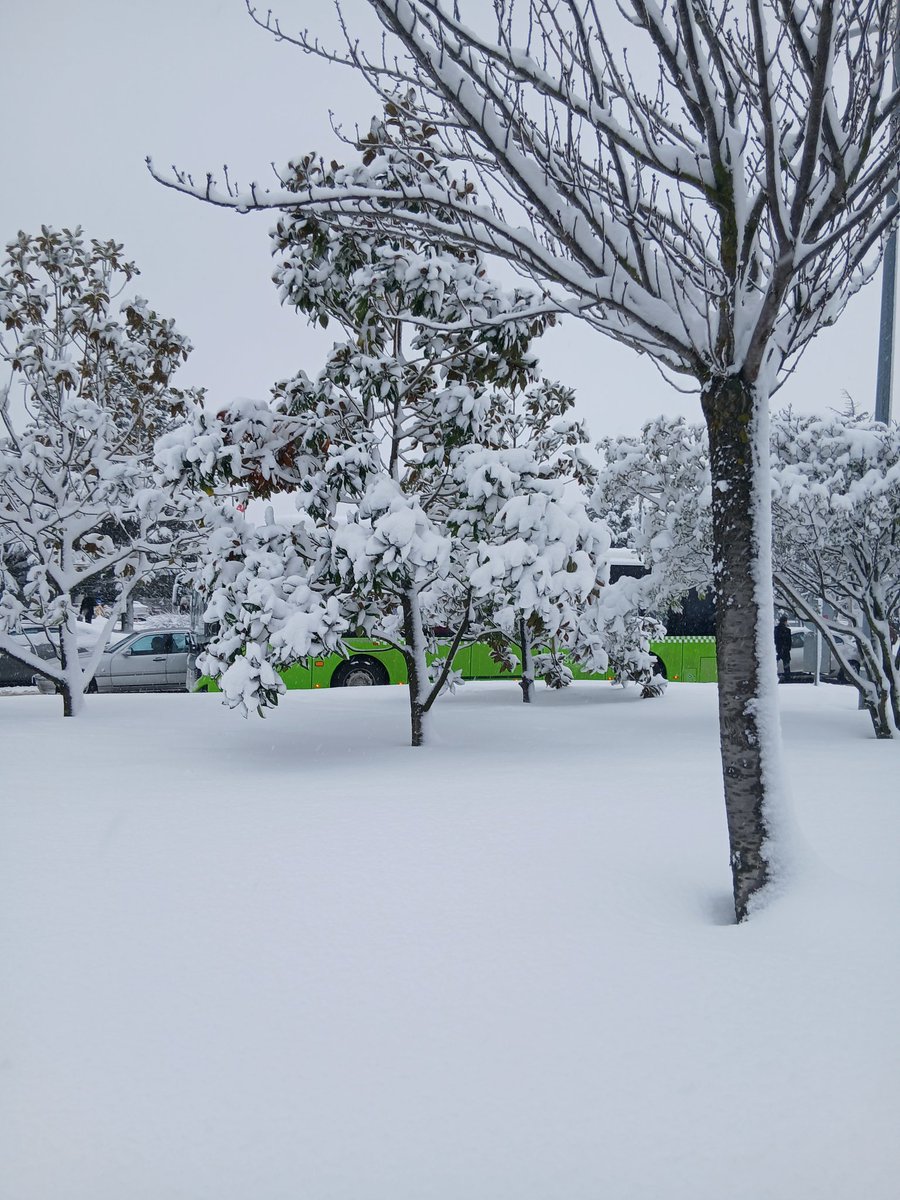 Batuhan Dinçer tweet media