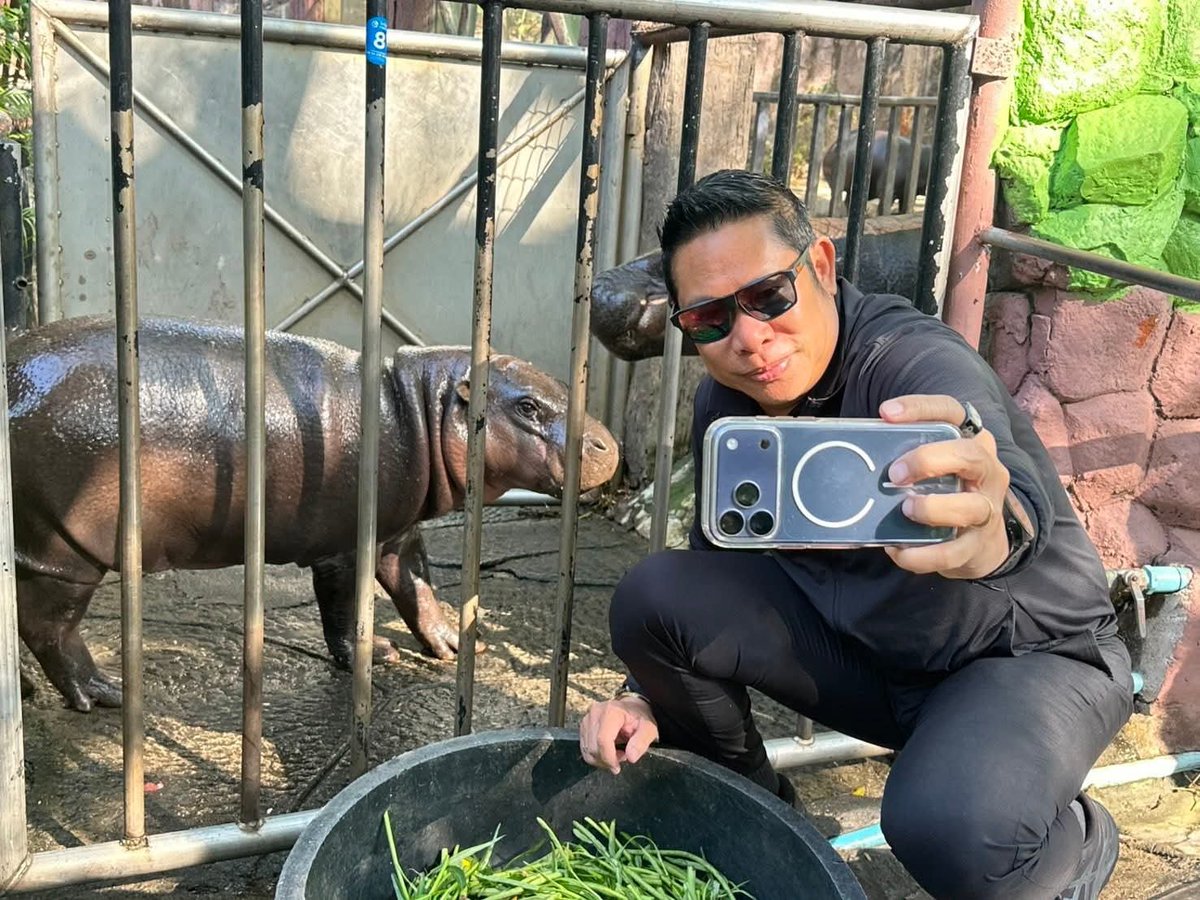 Fan Page | Moo Deng tweet media