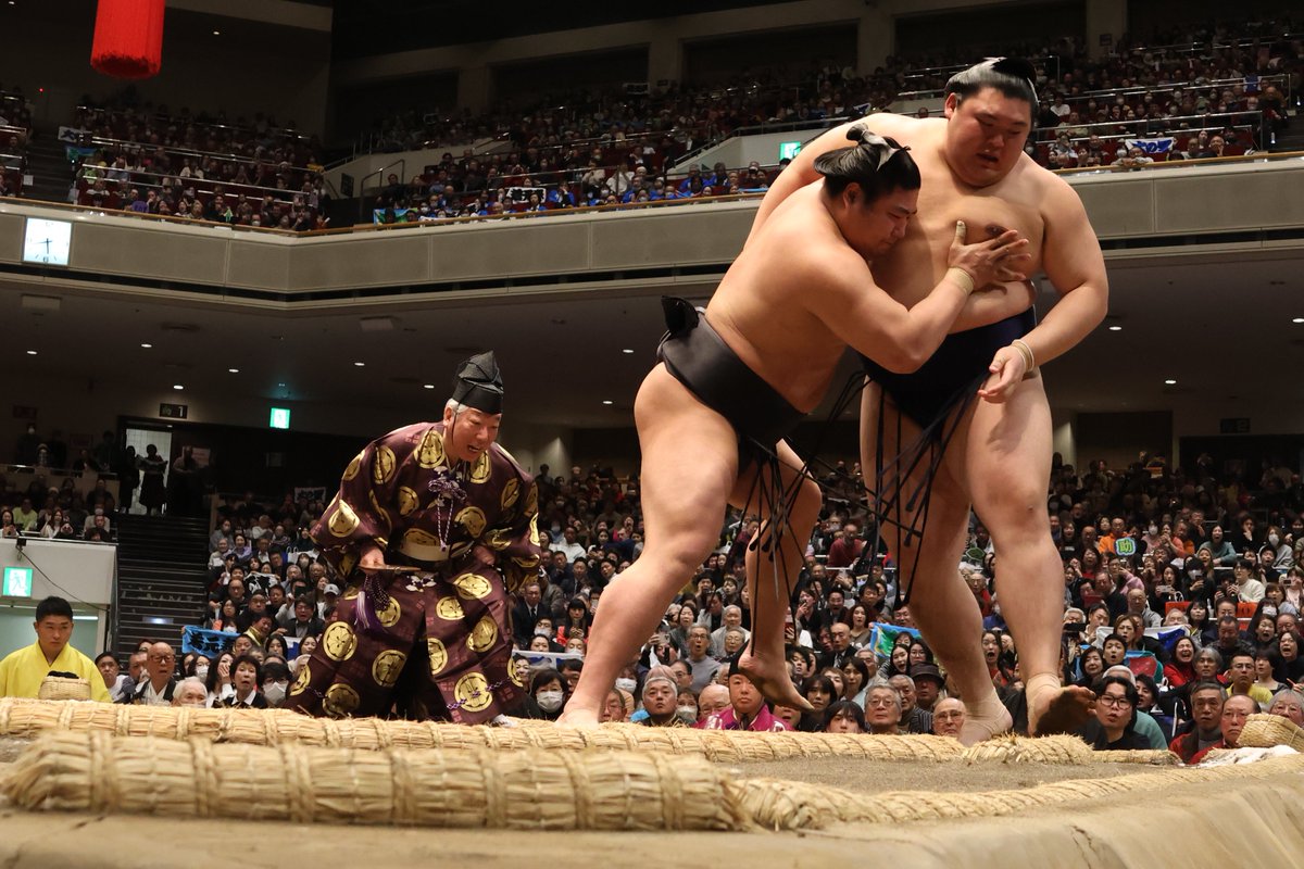 sumokyokai's tweet photo. ＜九日目の様子＞
幕内取組
#若元春（３勝６敗）　寄り切り　#大の里（６勝３敗）

#sumo #相撲 #一月場所 https://t.co/PVJWw0uaHy