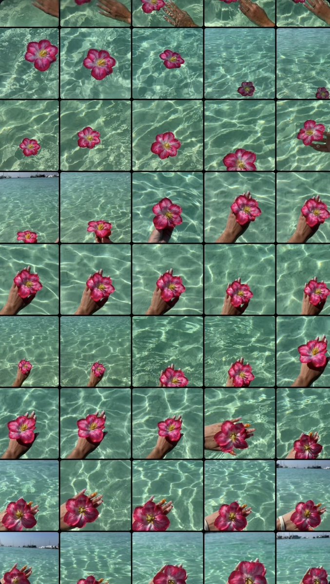 chivoxm's tweet image. seule au monde