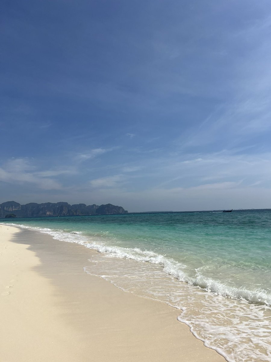 chivoxm's tweet image. seule au monde