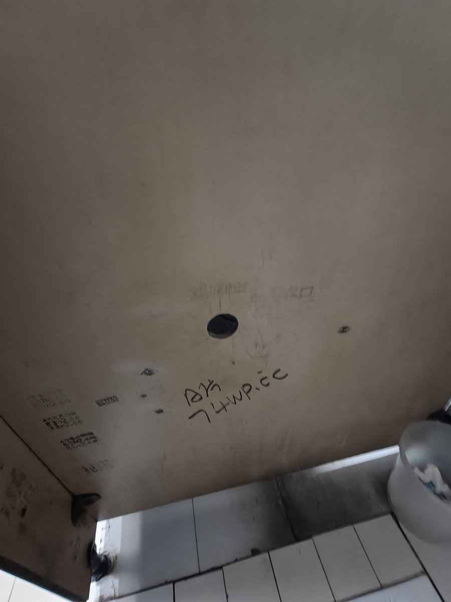 whale114 tweet media