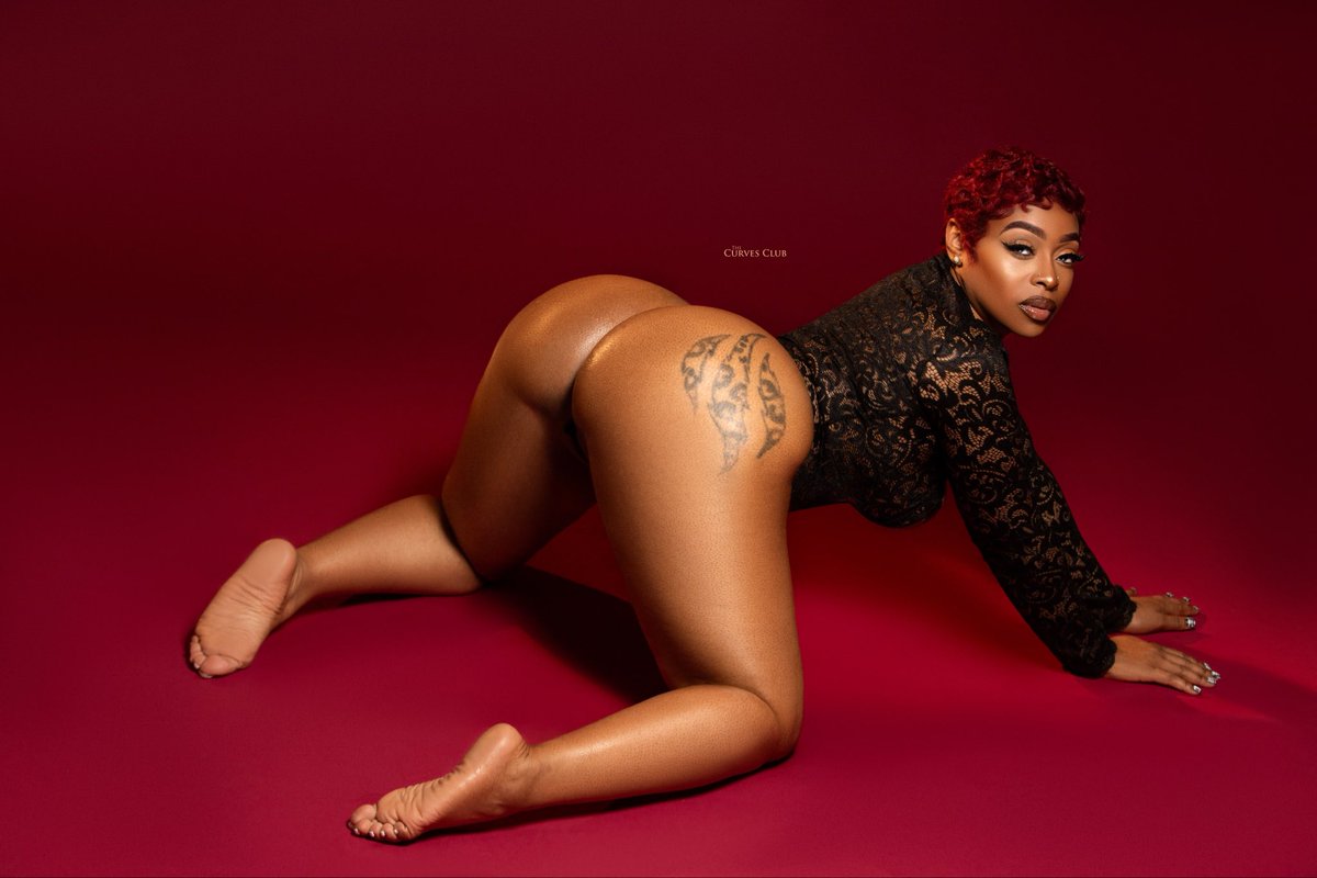 King Curves tweet media