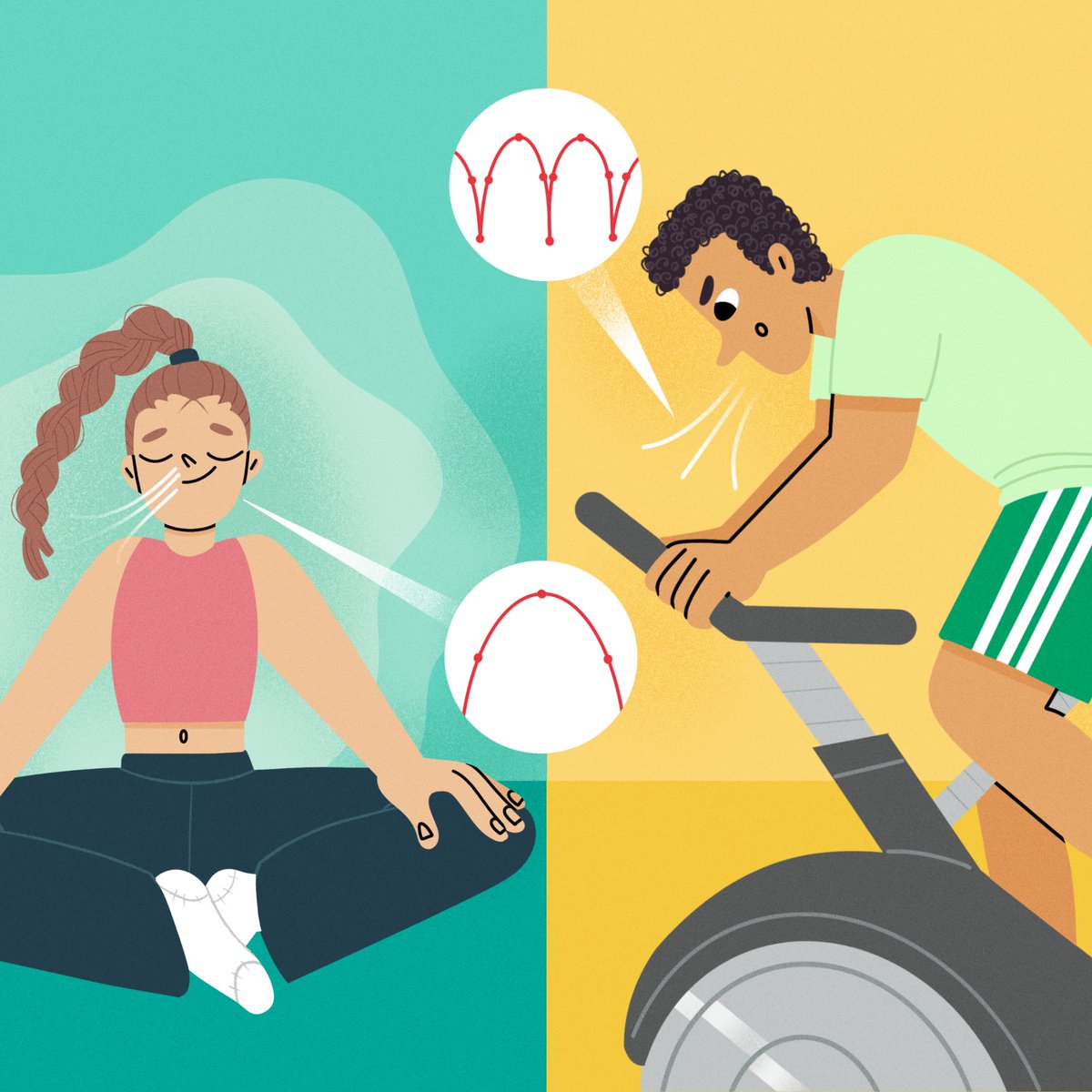 FrontYoungMinds's tweet image. DYK you can control how fast or slow you breathe, to boost your wellbeing and #performance? 
Slow and fast #breathing can control your autonomic nervous system, creating different states in your body and mind - great for your results in sports and school!
fro.ntiers.in/Breathing