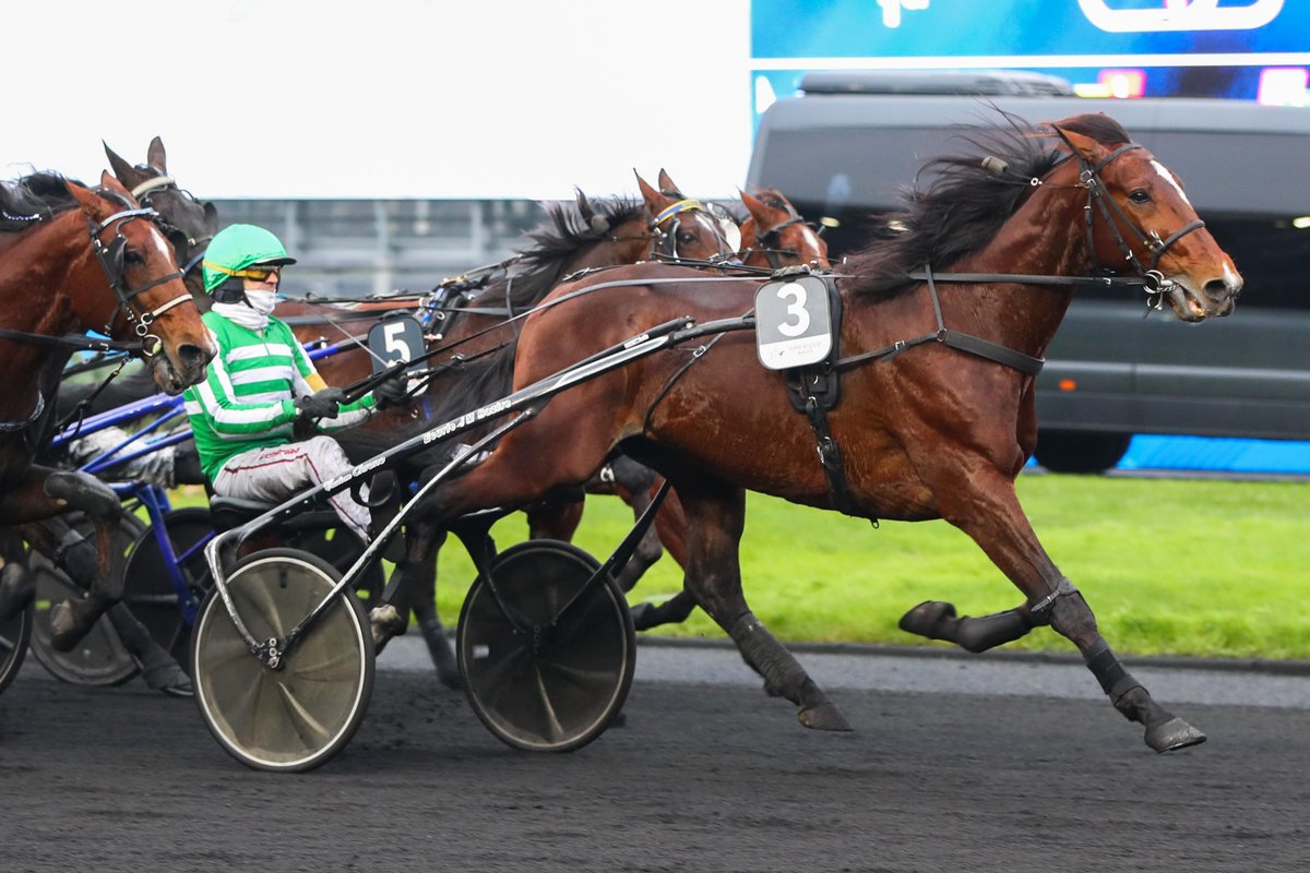 equidia's tweet photo. ❌ À cause d'un problème de santé, Jushua Tree (N. Bazire) ne prendra pas le départ du Prix d'Amérique - Legend Race, ce dimanche à @Vincennes_Hippo https://t.co/eVbSwbI7rL