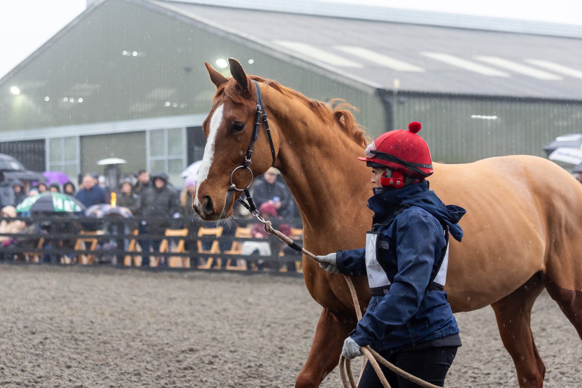 Middleham Park Racing tweet media