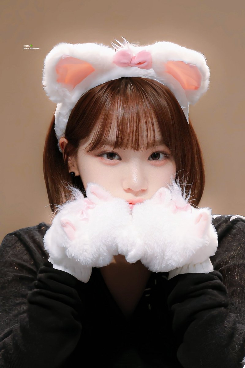 코코아☘️ 𝐜𝐨𝐜𝐨𝐚. tweet media